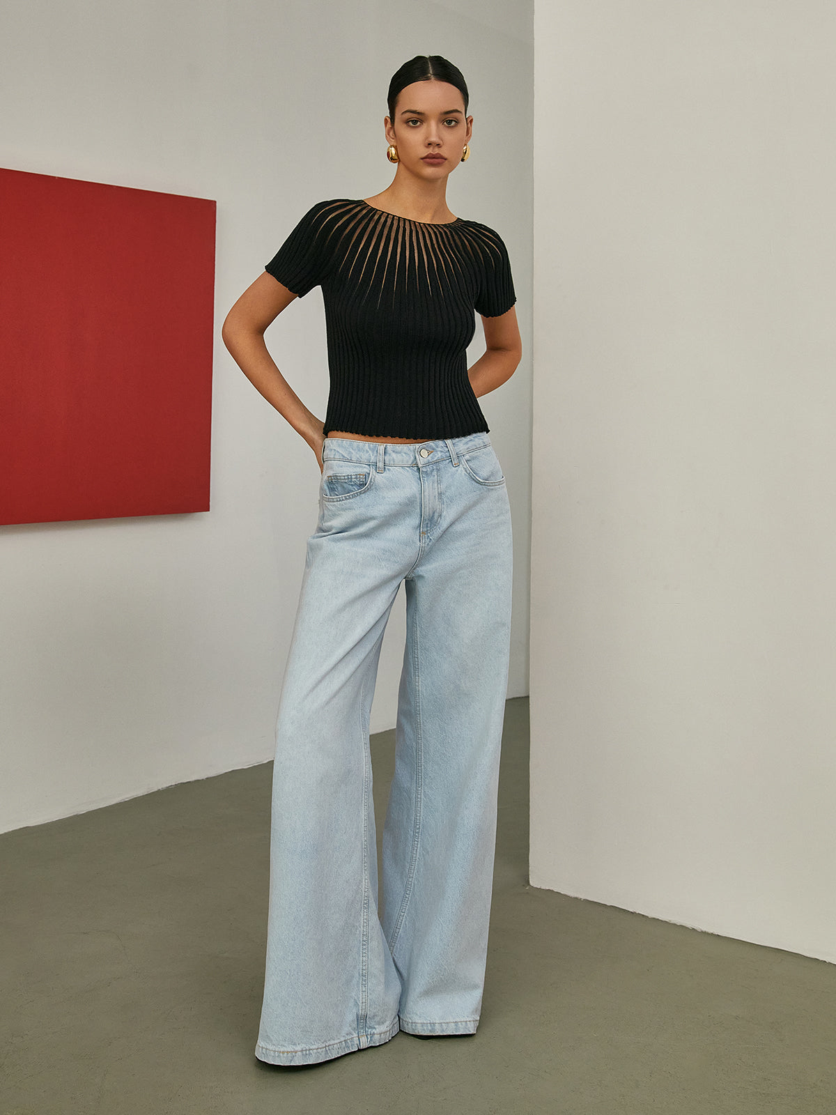 Semi-Sheer Short Sleeve Knit Top