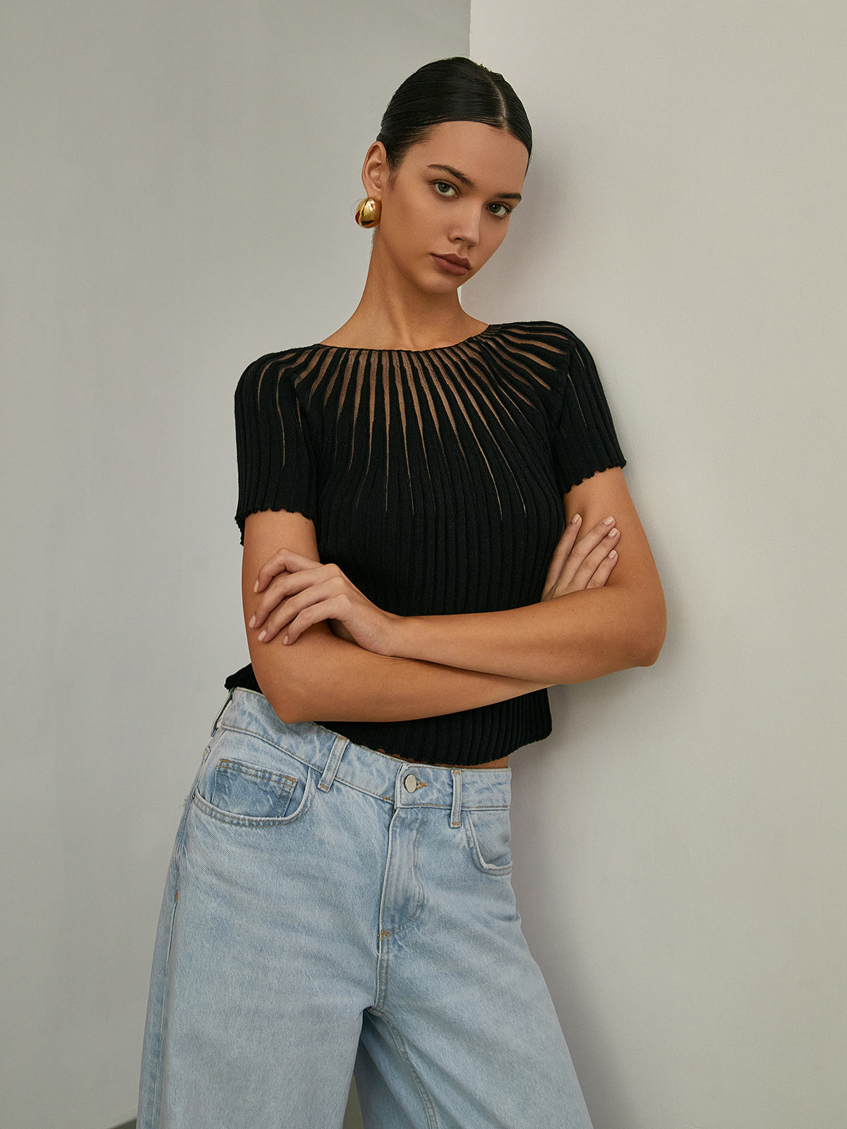 Semi-Sheer Short Sleeve Knit Top