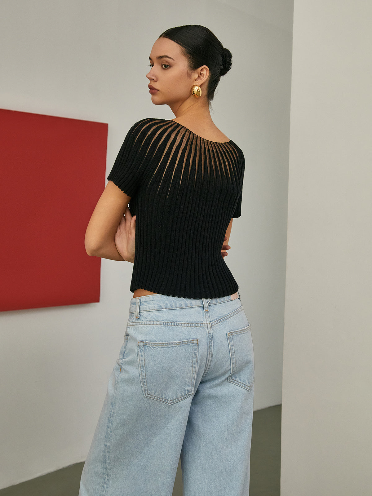 Semi-Sheer Short Sleeve Knit Top